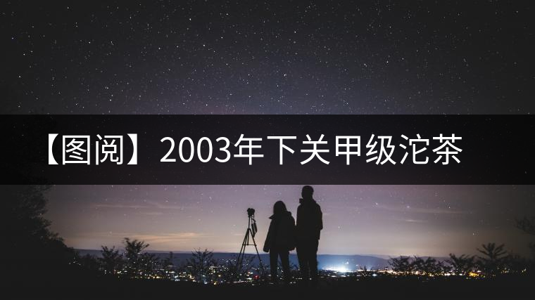 【圖閱】2003年下關(guān)甲級沱茶開湯品鑒 【圖閱】2003年下關(guān)甲級沱茶開湯品鑒