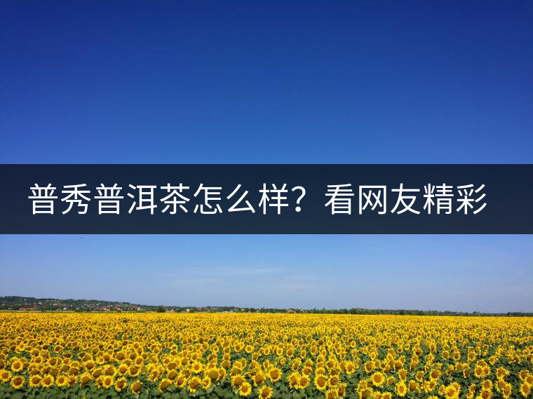 普秀普洱茶怎么樣？看網(wǎng)友精彩回答