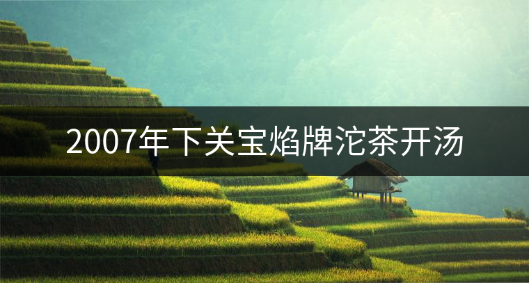 2007年下關(guān)寶焰牌沱茶開湯 2007年下關(guān)寶焰牌沱茶開湯