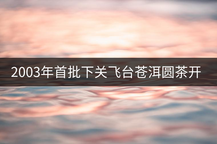 2003年首批下關(guān)飛臺(tái)蒼洱圓茶開(kāi)湯品鑒 2003年首批下關(guān)飛臺(tái)蒼洱圓茶開(kāi)湯品鑒
