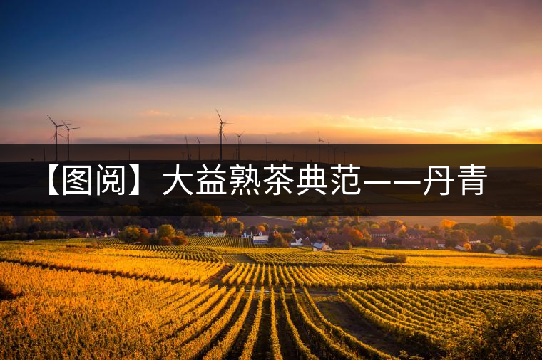 【圖閱】大益熟茶典范——丹青開湯