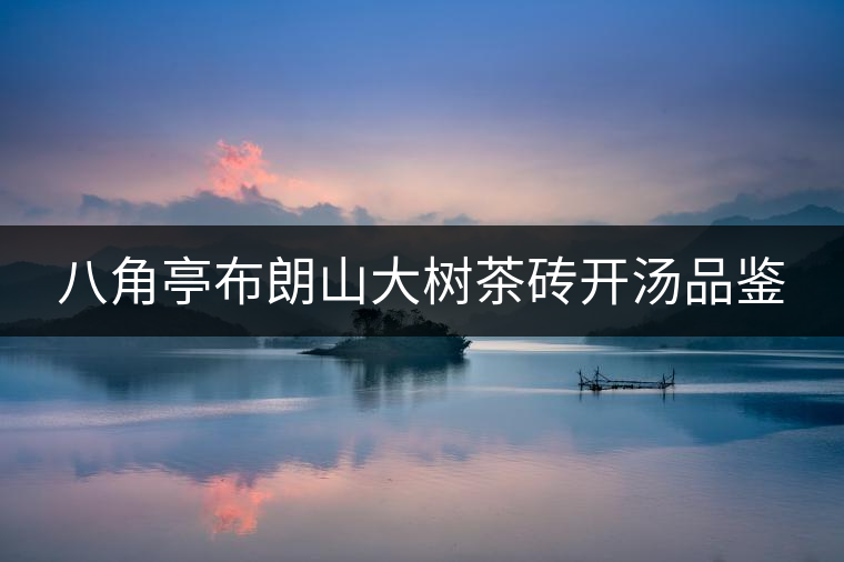 八角亭布朗山大樹茶磚開湯品鑒