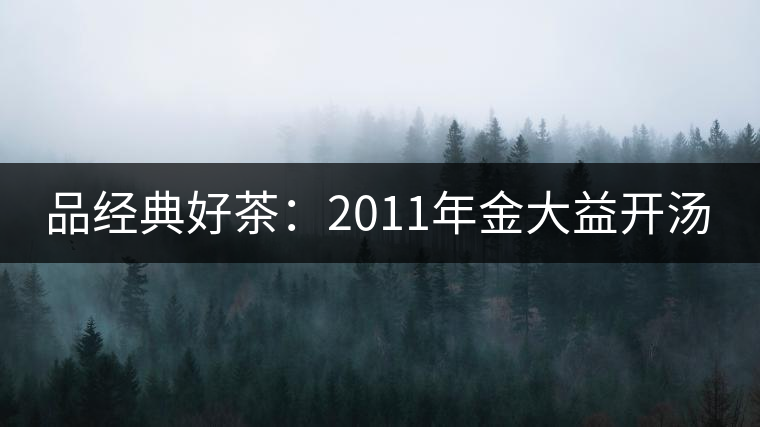 品經典好茶：2011年金大益開湯