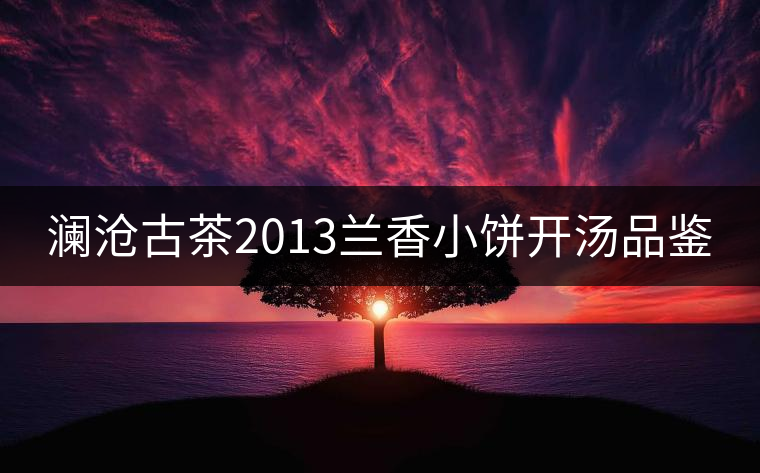 瀾滄古茶2013蘭香小餅開湯品鑒 瀾滄古茶2013蘭香小餅開湯品鑒