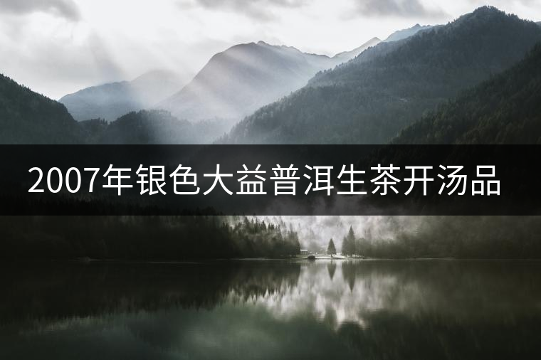 2007年銀色大益普洱生茶開(kāi)湯品鑒 2007年銀色大益普洱生茶開(kāi)湯品鑒