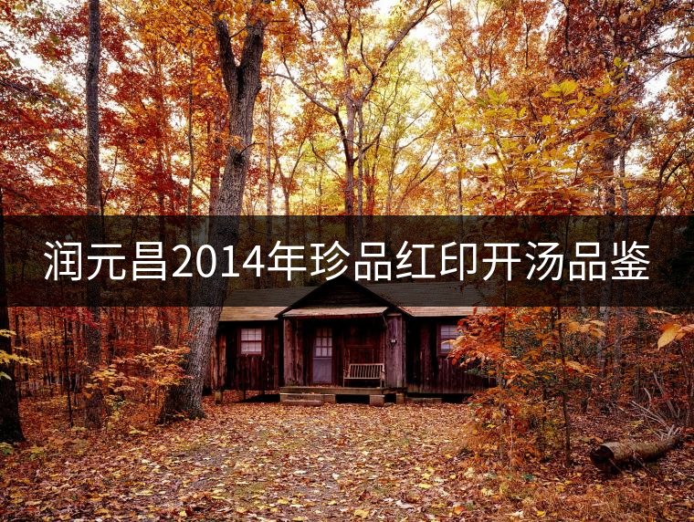 潤(rùn)元昌2014年珍品紅印開(kāi)湯品鑒