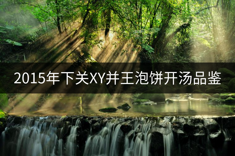 2015年下關(guān)XY并王泡餅開湯品鑒 2015年下關(guān)XY并王泡餅開湯品鑒