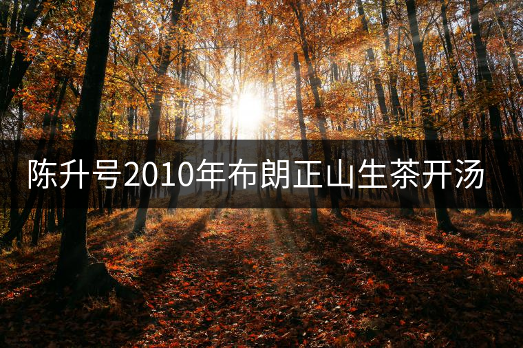 陳升號(hào)2010年布朗正山生茶開(kāi)湯品鑒 陳升號(hào)2010年布朗正山生茶開(kāi)湯品鑒