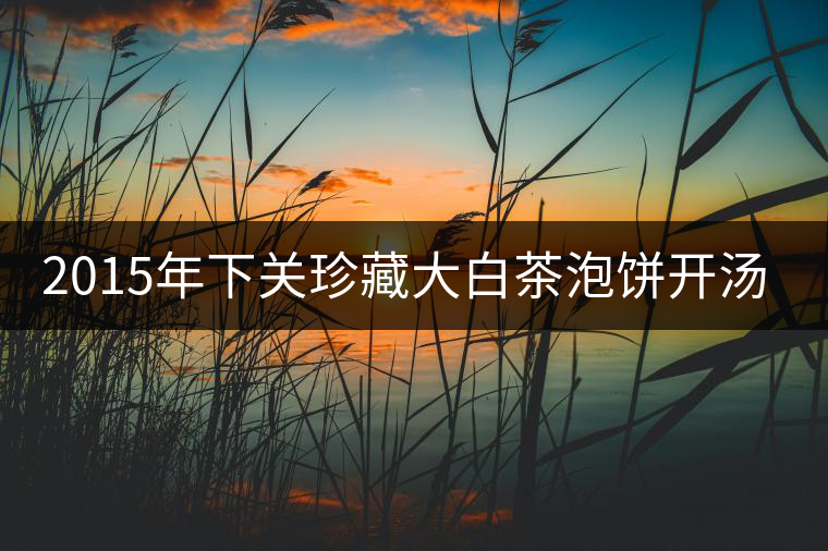 2015年下關(guān)珍藏大白茶泡餅開湯品鑒