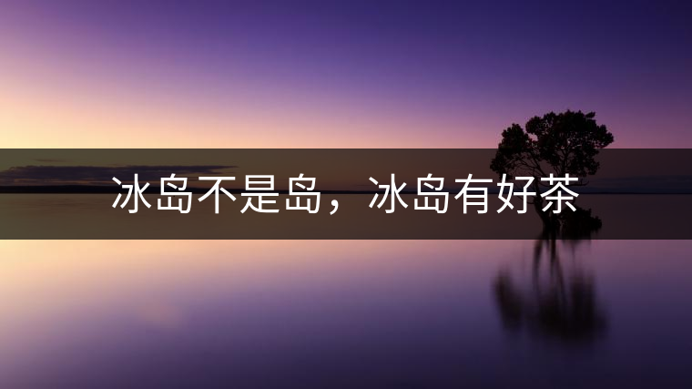 冰島不是島，冰島有好茶
