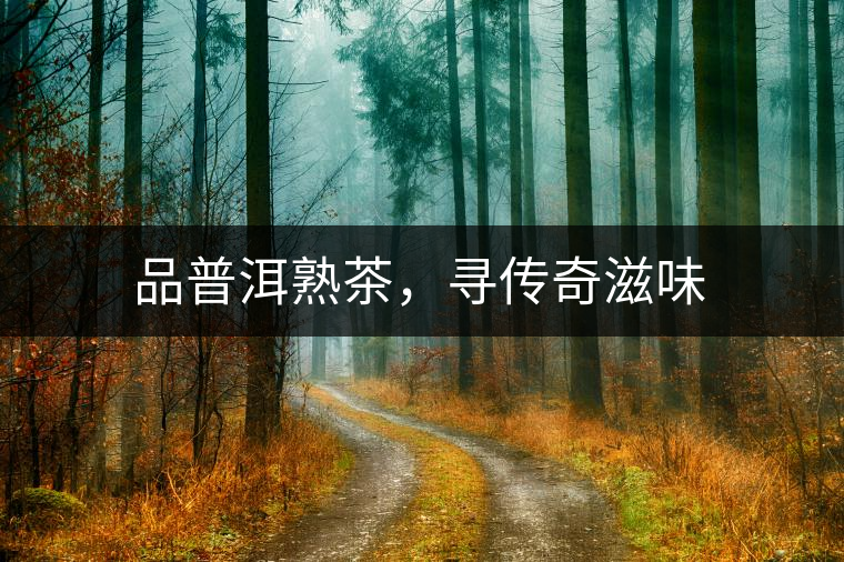 品普洱熟茶，尋傳奇滋味