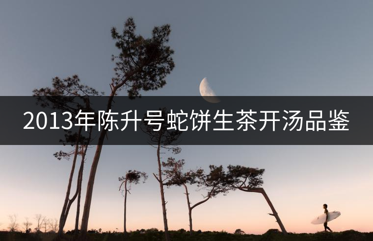2013年陳升號蛇餅生茶開湯品鑒 2013年陳升號蛇餅生茶開湯品鑒