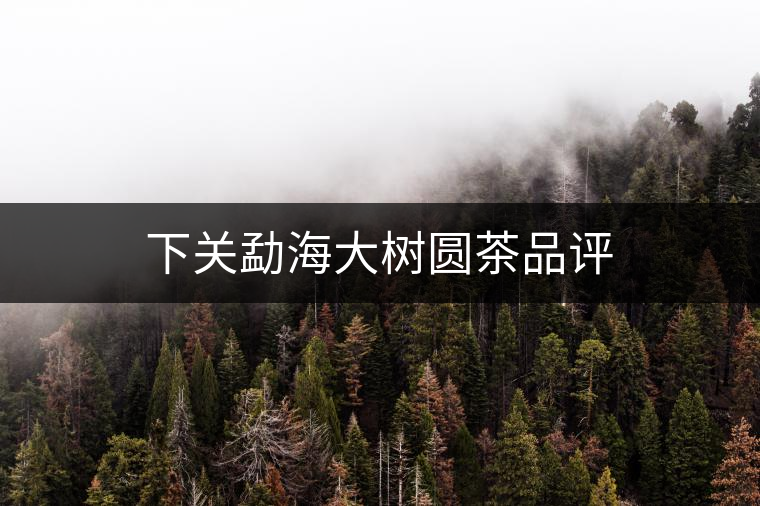 下關(guān)勐海大樹(shù)圓茶品評(píng)