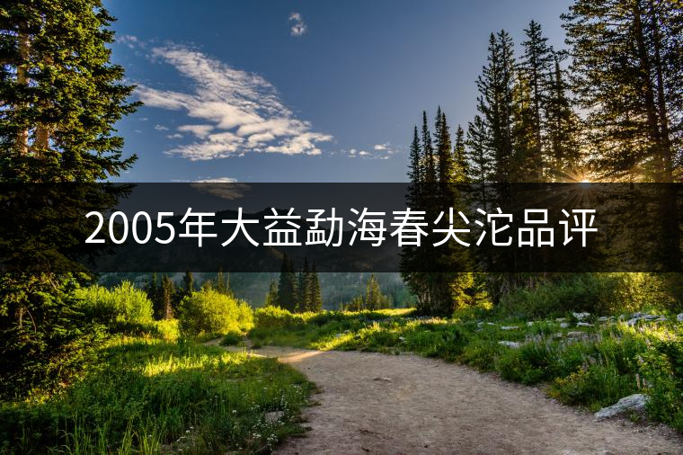 2005年大益勐海春尖沱品評 2005年大益勐海春尖沱品評