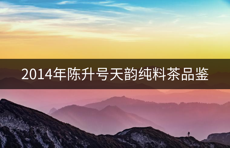 2014年陳升號天韻純料茶品鑒