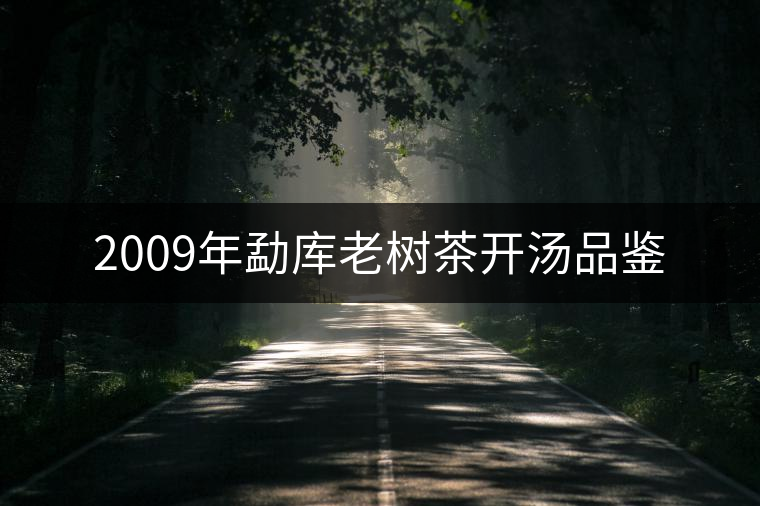 2009年勐庫老樹茶開湯品鑒