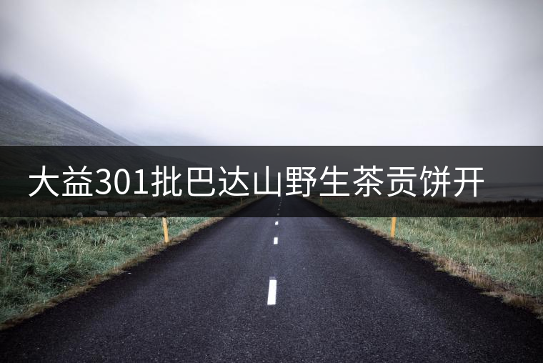 大益301批巴達(dá)山野生茶貢餅開(kāi)湯品鑒 大益301批巴達(dá)山野生茶貢餅開(kāi)湯品鑒