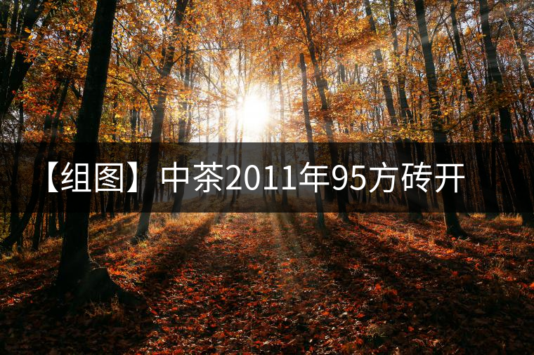 【組圖】中茶2011年95方磚開(kāi)湯 【組圖】中茶2011年95方磚開(kāi)湯