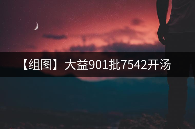 【組圖】大益901批7542開湯