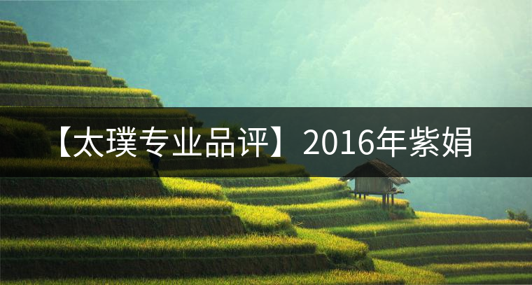 【太璞專(zhuān)業(yè)品評(píng)】2016年紫娟 【太璞專(zhuān)業(yè)品評(píng)】2016年紫娟