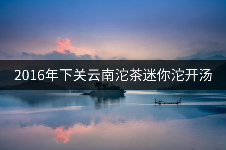 2016年下關(guān)云南沱茶迷你沱開(kāi)湯