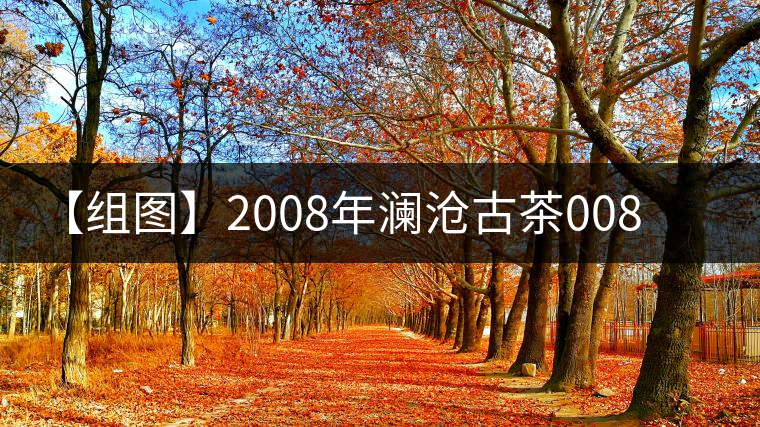 【組圖】2008年瀾滄古茶0085熟餅開湯