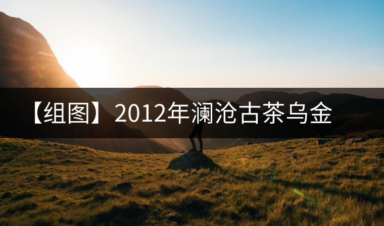 【組圖】2012年瀾滄古茶烏金磚開(kāi)湯 【組圖】2012年瀾滄古茶烏金磚開(kāi)湯