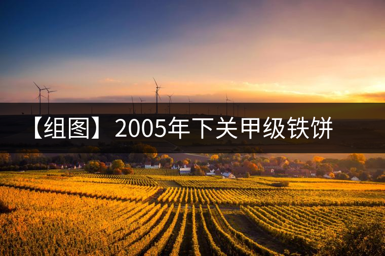 【組圖】2005年下關甲級鐵餅開湯 【組圖】2005年下關甲級鐵餅開湯