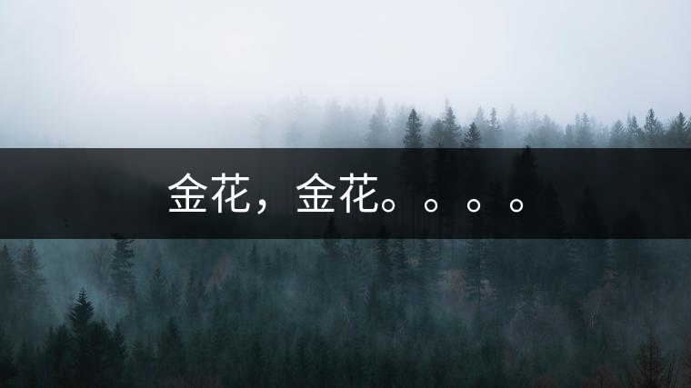 金花，金花。。。。