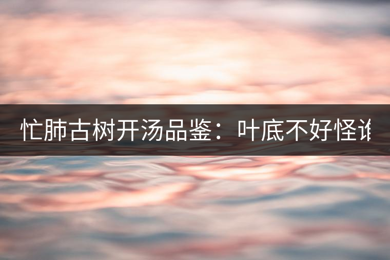 忙肺古樹(shù)開(kāi)湯品鑒：葉底不好怪誰(shuí)？