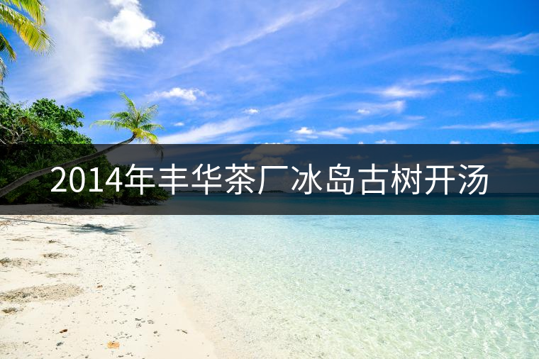 2014年豐華茶廠冰島古樹開湯 2014年豐華茶廠冰島古樹開湯