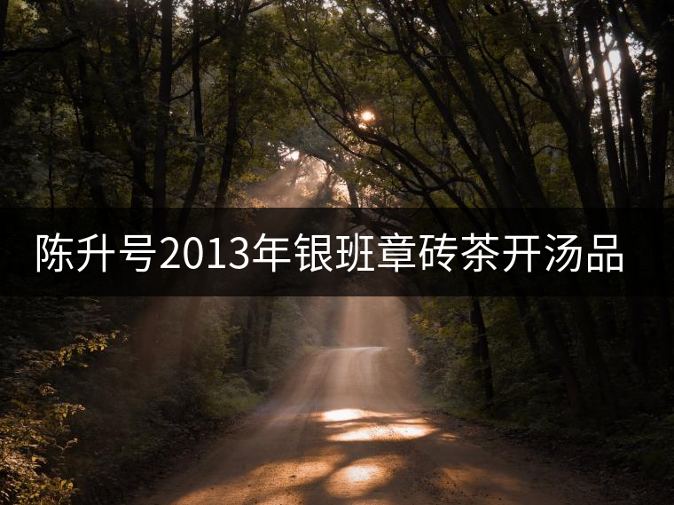 陳升號2013年銀班章磚茶開湯品鑒