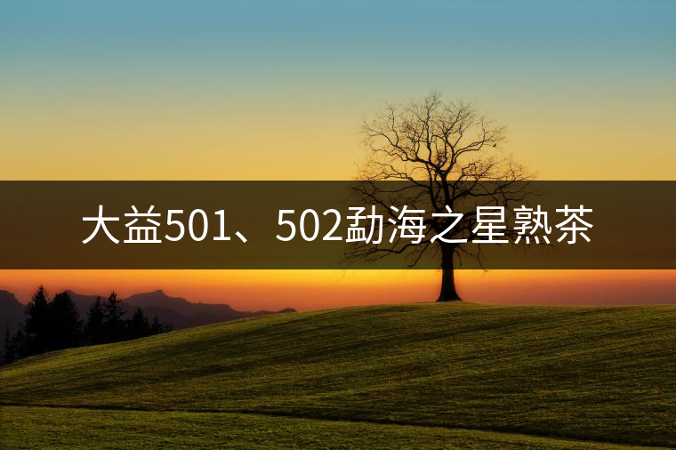 大益501、502勐海之星熟茶 大益501、502勐海之星熟茶