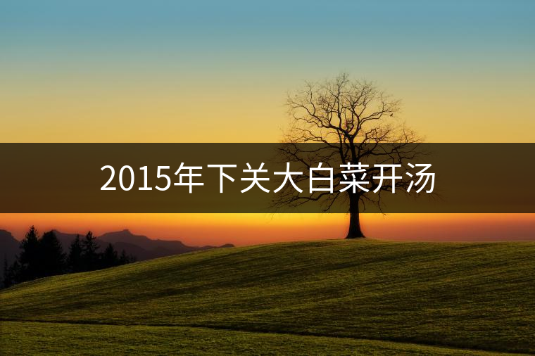 2015年下關(guān)大白菜開(kāi)湯 2015年下關(guān)大白菜開(kāi)湯