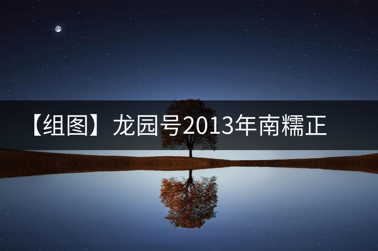 【組圖】龍園號2013年南糯正山小餅開湯