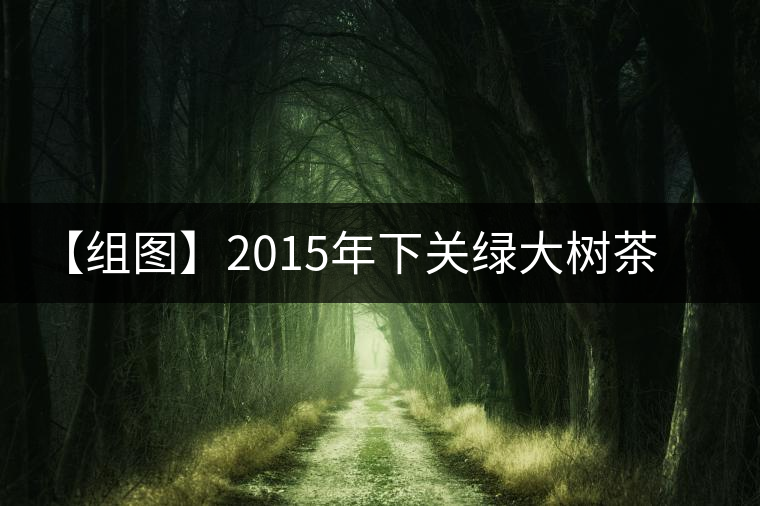 【組圖】2015年下關(guān)綠大樹茶餅開湯