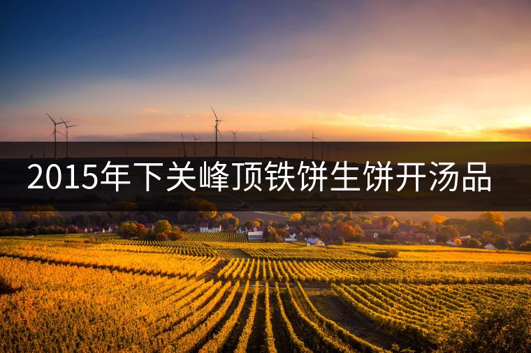 2015年下關峰頂鐵餅生餅開湯品鑒