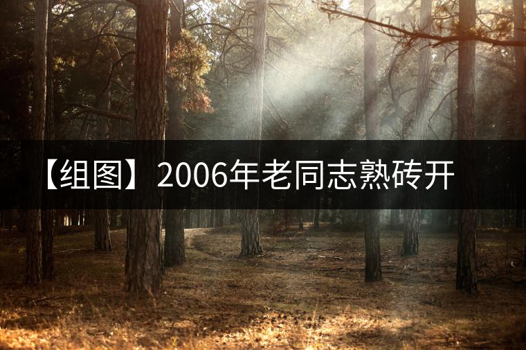 【組圖】2006年老同志熟磚開(kāi)湯品鑒 【組圖】2006年老同志熟磚開(kāi)湯品鑒
