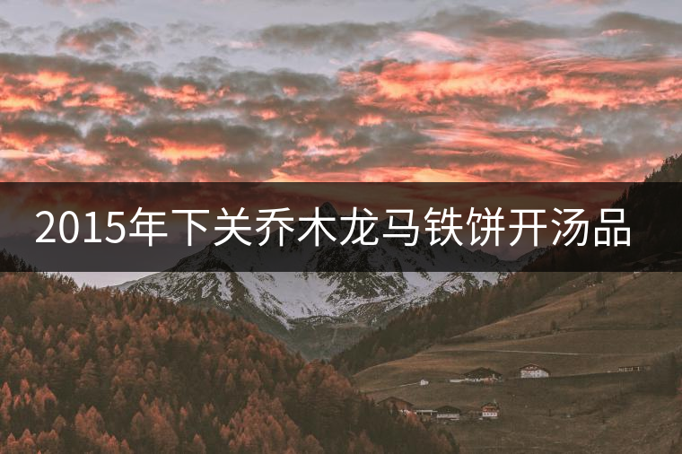 2015年下關(guān)喬木龍馬鐵餅開湯品鑒