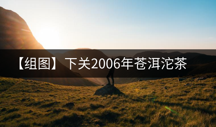 【組圖】下關(guān)2006年蒼洱沱茶開(kāi)湯