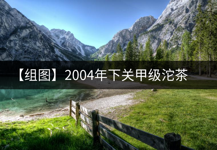 【組圖】2004年下關(guān)甲級沱茶開湯 【組圖】2004年下關(guān)甲級沱茶開湯