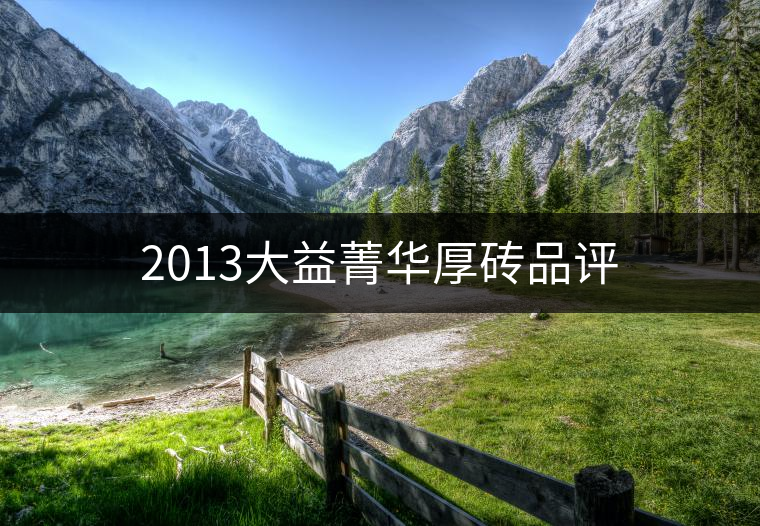 2013大益菁華厚磚品評 2013大益菁華厚磚品評
