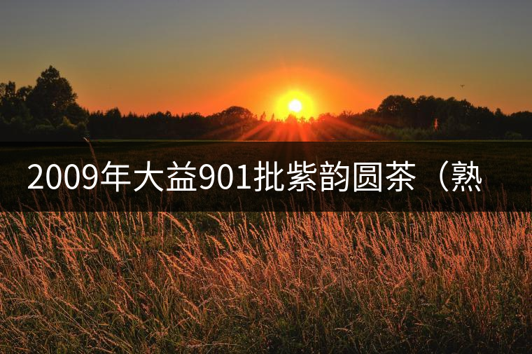 2009年大益901批紫韻圓茶(熟茶)開湯 2009年大益901批紫韻圓茶(熟茶)開湯