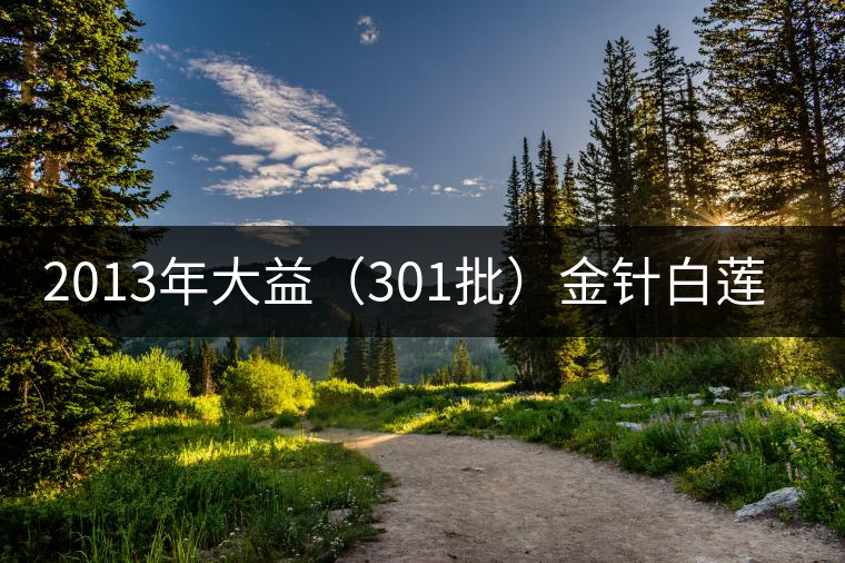 2013年大益(301批)金針白蓮開(kāi)湯品鑒 2013年大益(301批)金針白蓮開(kāi)湯品鑒