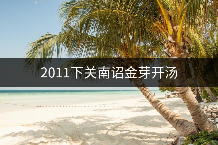 2011下關(guān)南詔金芽開湯 2011下關(guān)南詔金芽開湯