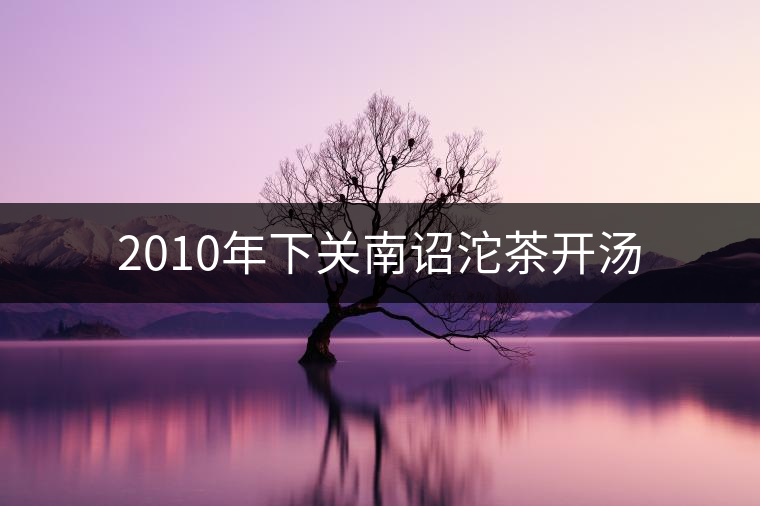 2010年下關(guān)南詔沱茶開湯 2010年下關(guān)南詔沱茶開湯