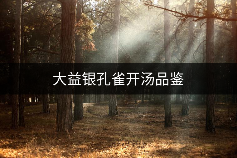 大益銀孔雀開湯品鑒 大益銀孔雀開湯品鑒