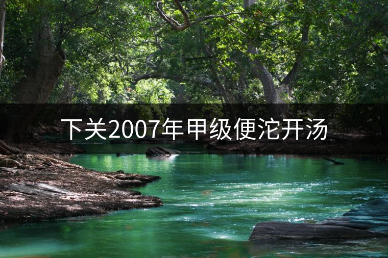 下關2007年甲級便沱開湯 下關2007年甲級便沱開湯
