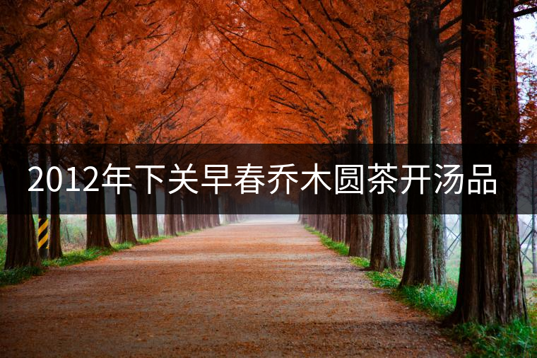 2012年下關(guān)早春?jiǎn)棠緢A茶開湯品鑒 2012年下關(guān)早春?jiǎn)棠緢A茶開湯品鑒