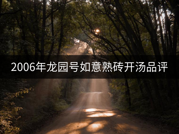 2006年龍園號(hào)如意熟磚開湯品評(píng) 2006年龍園號(hào)如意熟磚開湯品評(píng)